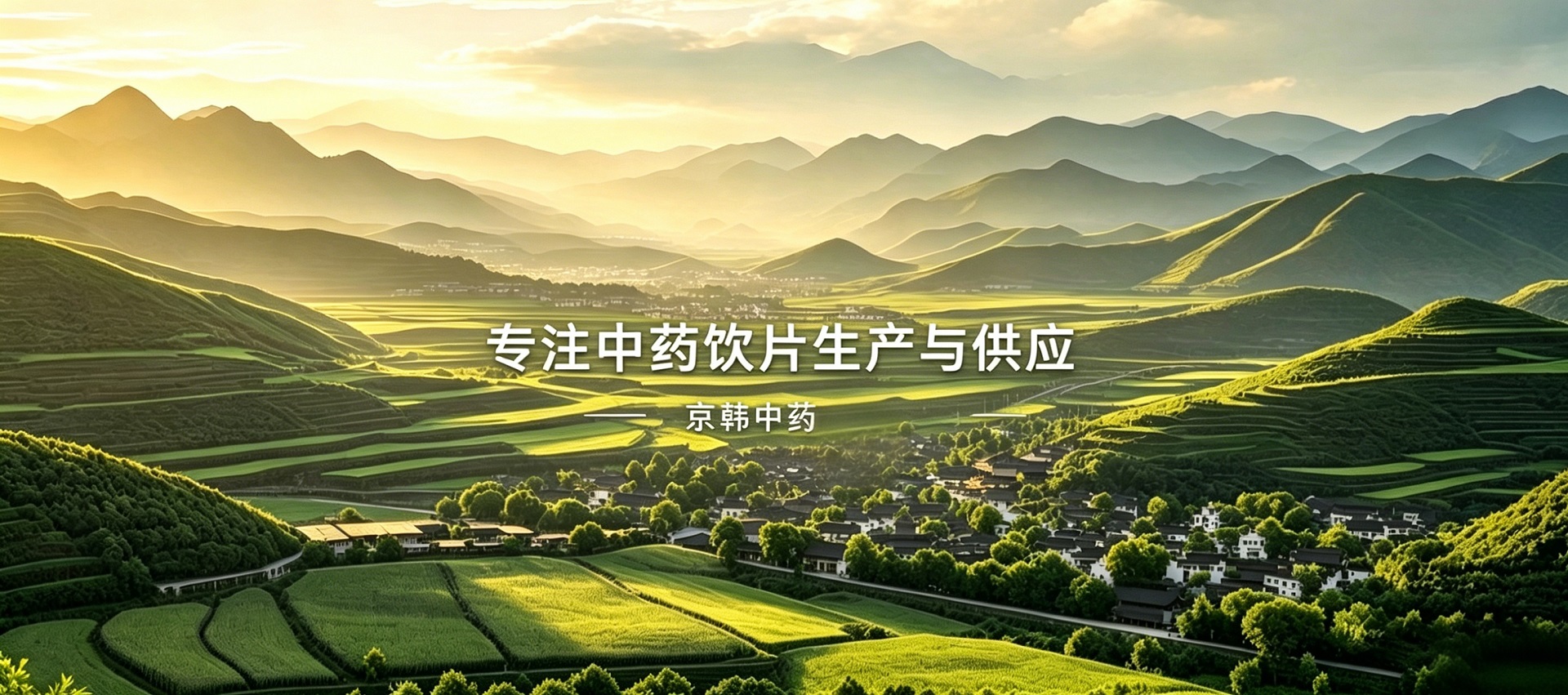 广东秦正药业有限公司